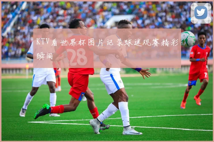 KTV看世界杯图片记录球迷观赛精彩瞬间