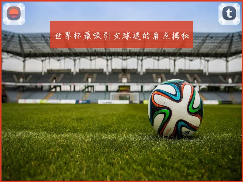 世界杯最吸引女球迷的看点揭秘